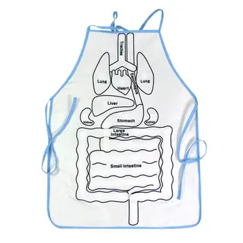 Модель органов человека Анатомический фартук Анатомический фартук Анатомические формы органов Научный фартук модели человеческого тела Анатомический фартук для детей, мальчиков и девочек