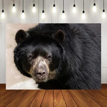 Африканское дикое животное свирепый большой черный медведь комната интерьер обои детское шоу съемка фон вечеринка украшение баннер фотографии