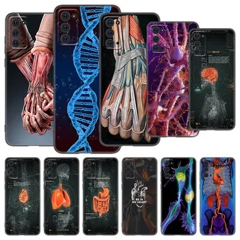 Чехол для органов анатомии человека для Samsung Galaxy M11 M12 M21 M51 M52 M32 5G M30 M31 S Note 10 Lite 20 Ultra J2 J6 J8 2018 J4 Plus